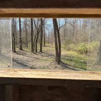39.95 Acres in Panola County MS images 2