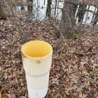 39.95 Acres in Panola County MS images 3