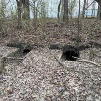 39.95 Acres in Panola County MS images 5