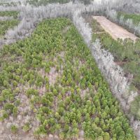 42 acres of recreational land in Martin County NC images 2