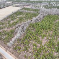 42 acres of recreational land in Martin County NC images 3
