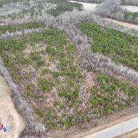 42 acres of recreational land in Martin County NC images 4