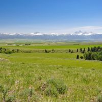 Hoopes Teton View Ranch images 1