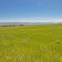 Hoopes Teton View Ranch images 3