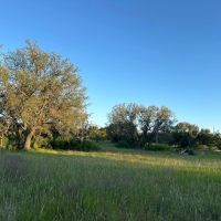 175 - Ac….Oaks Shop 4 2 Home Surface water images 3