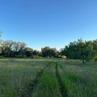 175 - Ac….Oaks Shop 4 2 Home Surface water images 4