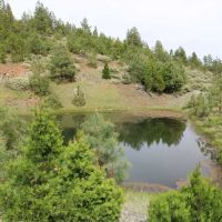 Nickel Mountain Ranch images 5