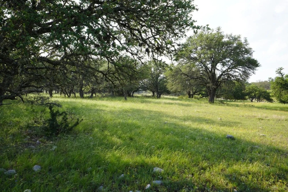 Kensing Road Ranch featured image