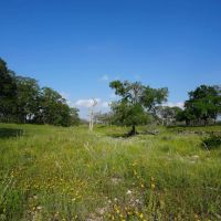 Kensing Road Ranch images 2