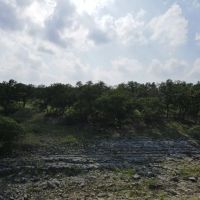 Kensing Road Ranch images 5