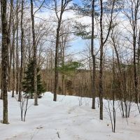 180 Schoolhouse Rd - Jamaica images 2