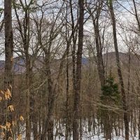 180 Schoolhouse Rd - Jamaica images 3