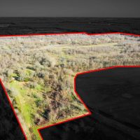 Texas Prime Hunting Land For Sale Sumner TX