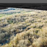 Texas Prime Hunting Land For Sale Sumner TX images 4