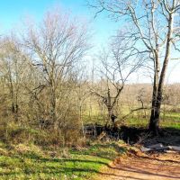 Texas Prime Hunting Land For Sale Sumner TX images 5