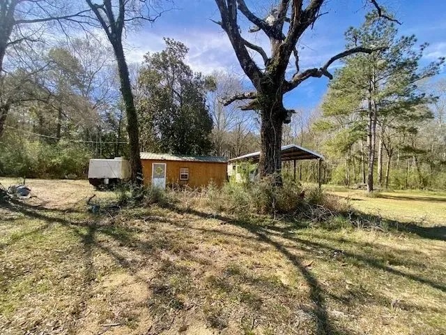 20 acres Beansie Rushing Road featured image
