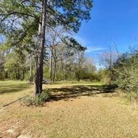 20 acres Beansie Rushing Road images 2