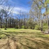 20 acres Beansie Rushing Road images 3