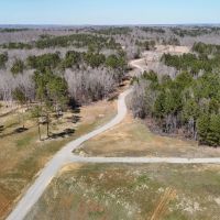163.2 Acres With a Cabin in Hardeman County TN images 4