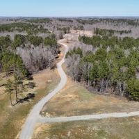 163.2 Acres With a Cabin in Hardeman County TN images 5