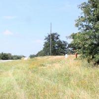 Pristine Land