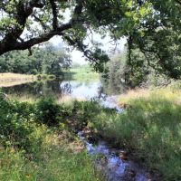 Pristine Land images 4
