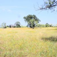 Pristine Land images 5