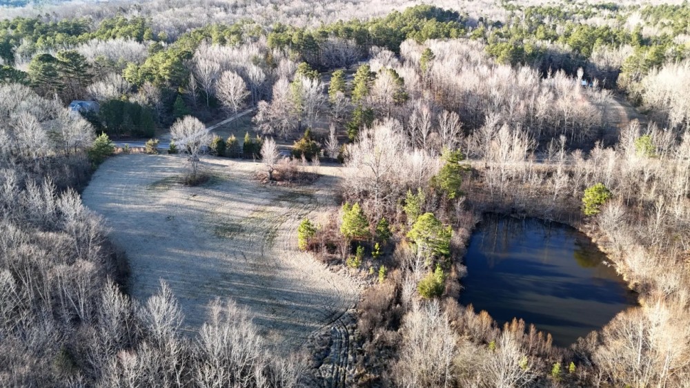 31.43 Acres in Hardeman County TN featured image