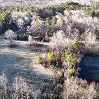 31.43 Acres in Hardeman County TN