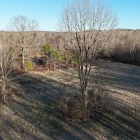 31.43 Acres in Hardeman County TN images 2
