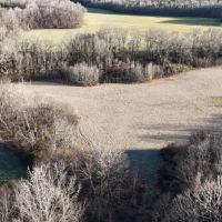 31.43 Acres in Hardeman County TN images 5