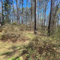 5 - Acres with 3 Bedroom Home in Franklin County MS images 5