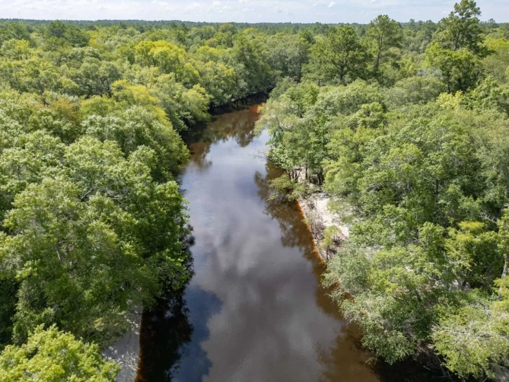 49.19 Acres - Tract 2 on Riverfront Haven on Alapaha River featured image