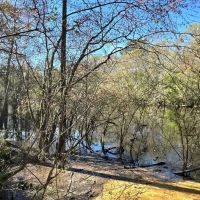49.19 Acres - Tract 2 on Riverfront Haven on Alapaha River images 2