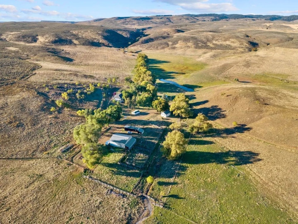Trident Star Ranch featured image