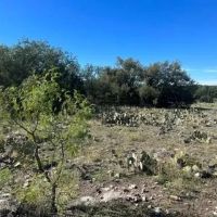 Ultimate 47-Acre Hunting Property in Menard County TX for Sale - No HOA images 2