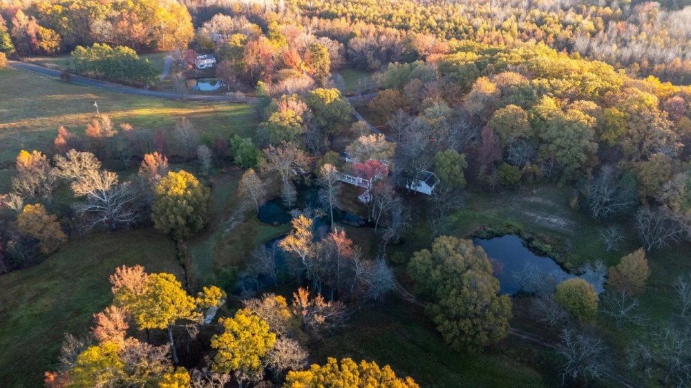 Endless Acres Wildlife Farms featured image