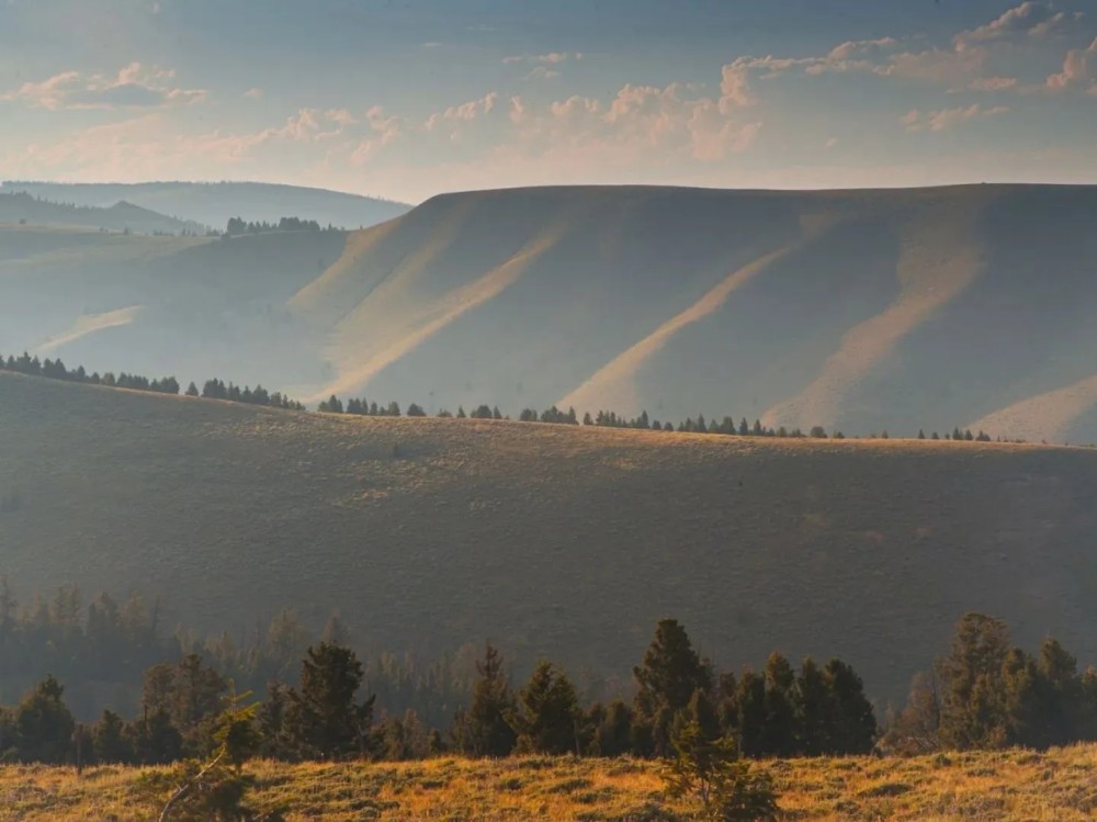 Nip and Tuck Ranch featured image