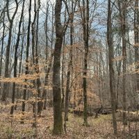 332.86 acres in Harris County images 4