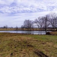 80 E 540 Locust Grove OK 74352 images 3
