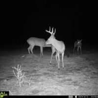 101.7 - Acres in the Heart of the Homochitto National Forest