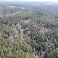 101.7 - Acres in the Heart of the Homochitto National Forest images 2