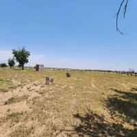 1016 E COUNTY ROAD E LAMESA TX 79331 images 3