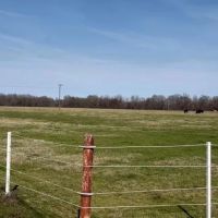 LA - Franklin 64 acres - images 2