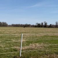 LA - Franklin 64 acres - images 5
