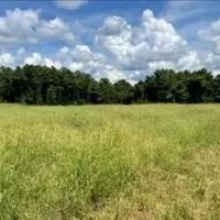 197.83 Acres in Yazoo County in Benton MS images 5