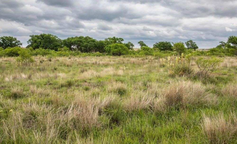 Lowe Ranch featured image