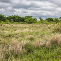 Lowe Ranch images 1