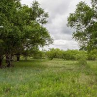 Lowe Ranch images 3
