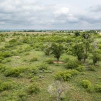 Lowe Ranch images 4